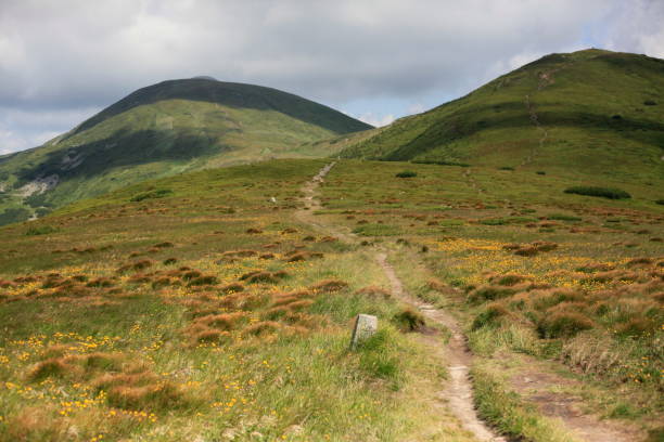 istock Chornohora ridge in the Ukrainian Carpathians 875606992