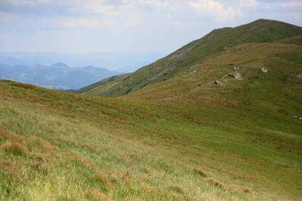 istock Chornohora ridge in the Ukrainian Carpathians 875609826