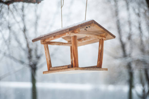 istock feeder for birds in the winter forest 875609976