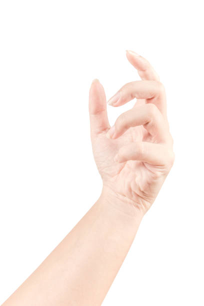 istock Close up Hand and arm  on white  background. 875610370