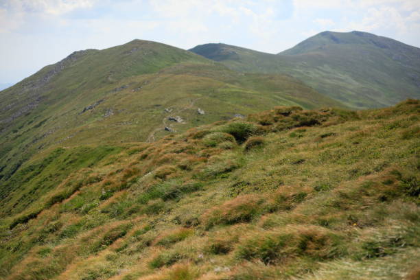 istock Chornohora ridge in the Ukrainian Carpathians 875610590