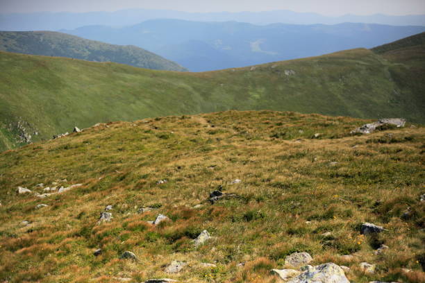istock Chornohora ridge in the Ukrainian Carpathians 875614364
