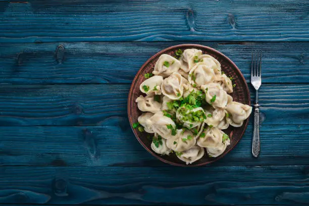 tasty homemade meat dumplings of wholemeal flour or russian pelmeni sprinkled with fresh parsley on plate on wooden table,copy space, view from above