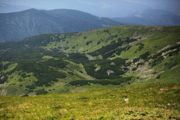 istock Chornohora ridge in the Ukrainian Carpathians 875617008