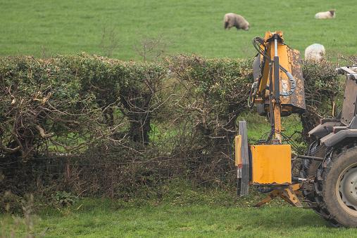 Tractor holding a large hedge cutter in a rural area