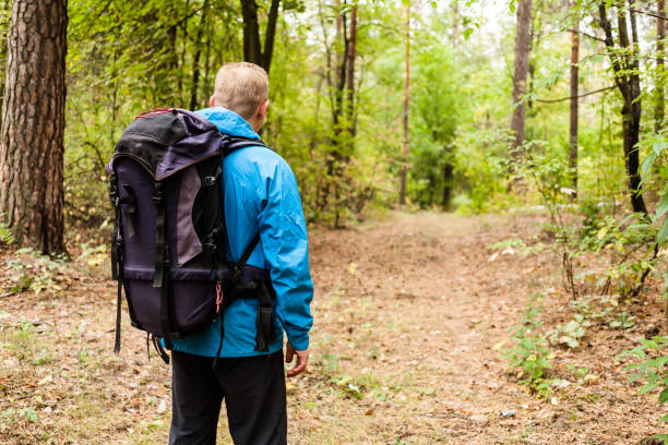 istock Hiker with backpack is walking in the autumn forest. 875629080