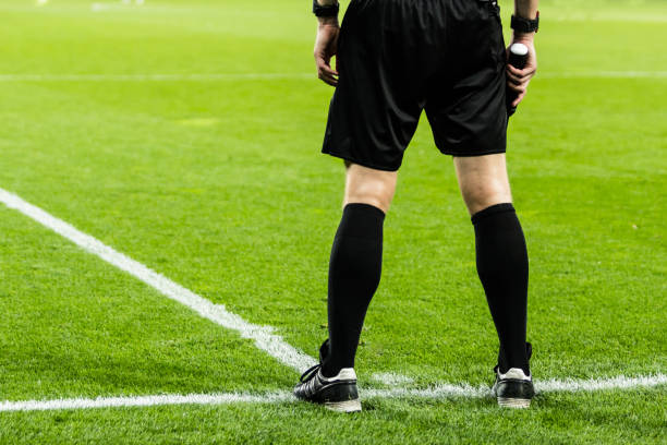 istock Football referee on the field 875629650