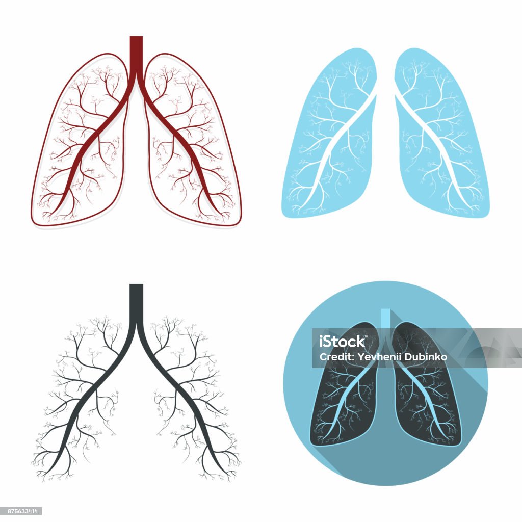 Lungs set. Human lungs anatomy symbol set Lungs set. Human lungs anatomy symbol set. Vector Asthmatic stock vector