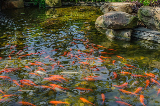 istock Residential landscape greening 875635340