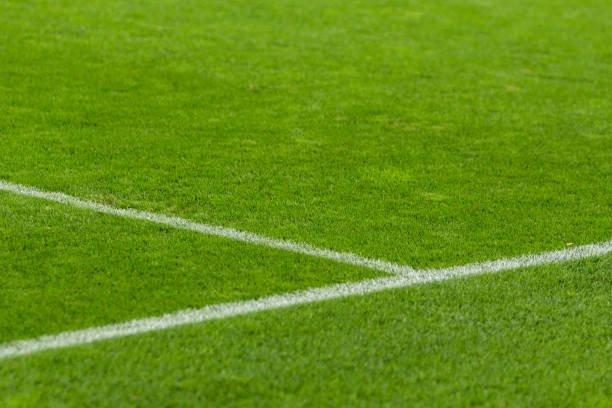 istock Soccer field white line. 875635912