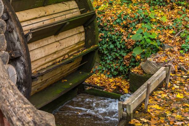 istock Old wooden water mill in the forest at autumn 875636366
