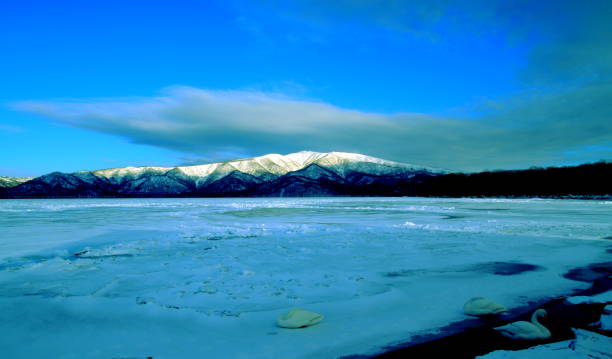 istock Landscape in Hokkaido in winter 875637150