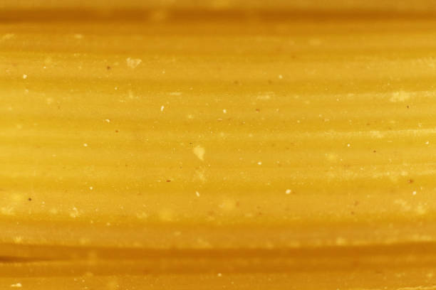 istock Pasta Texture. Uncooked Macaroni Food Background. Macro Closeup. 875644026