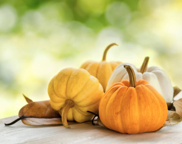 istock Pumpkins on green natural background 875647830