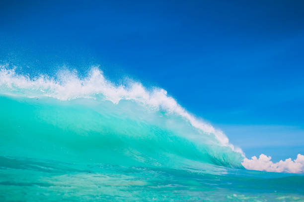 istock Blue ocean wave at tropical beach. Clear wave in tropics and blue sky 875650944