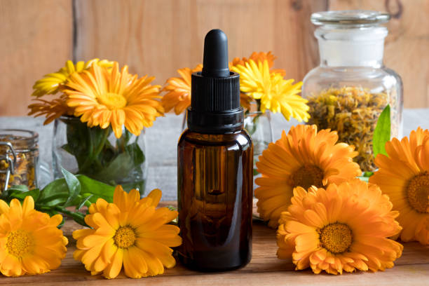 Une bouteille d’huile essentielle de calendula avec fleurs de calendula