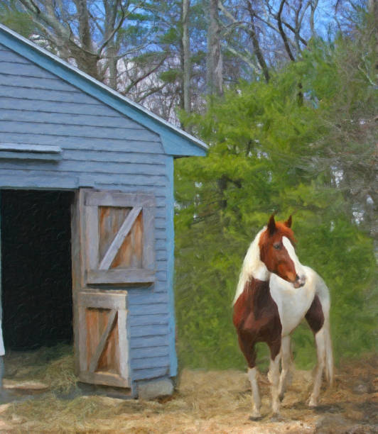 istock Newly Adopted Wild Mustang Outside her stall 875658906