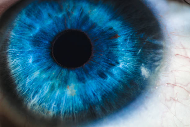istock An enlarged image of eye with a blue iris, eyelashes and sclera 875665864