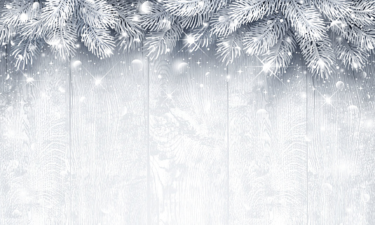 Christmas wooden background with fir branches. Silver color. Vector illustration
