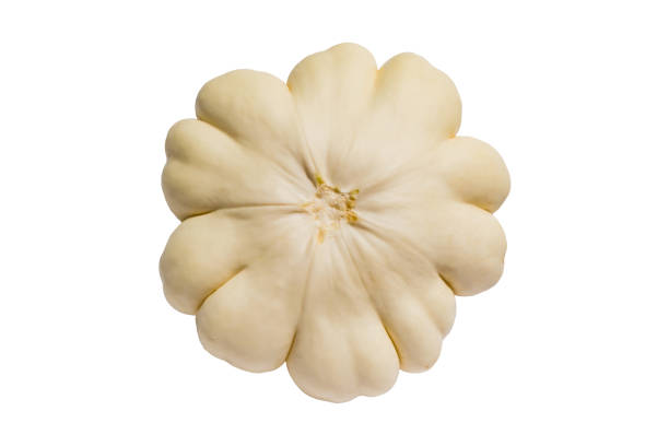 istock Fresh white squash, vegetable, isolated on white background closeup 875677532