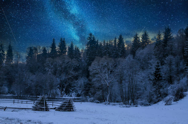 istock Beautiful night in winter. Mountain landscape 875680362