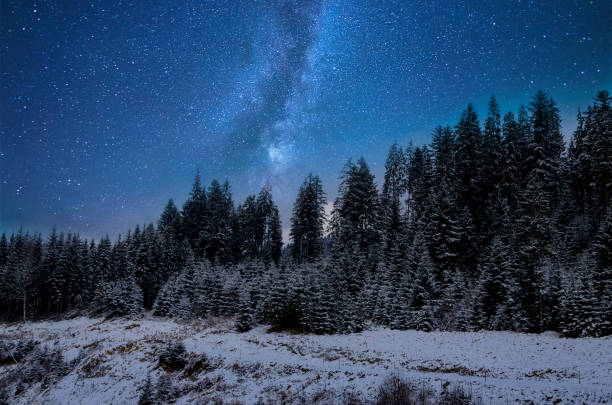 istock Beautiful night in winter. Mountain landscape 875680856