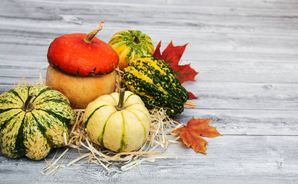 istock Pumpkins with autumn leaves 875681630