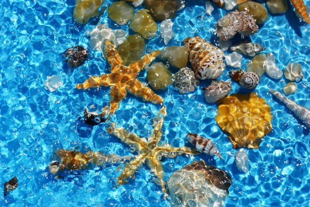 Sand sea bottom rippled with small waves