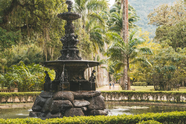 istock Water fountain in Botanic garden 875684422