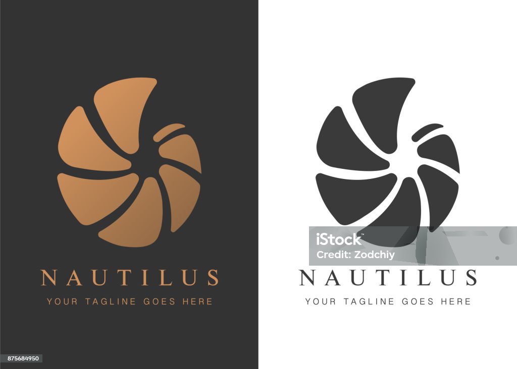 nautilus- copy Vector illustration with seashell nautilus. Object for your  / card / flyer. Logo stock vector