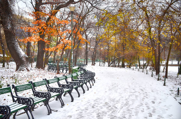 Winter, Autumn, City, No People, Snow