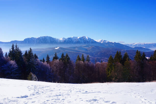 istock Romania winter landscape, scenery with the mountains 875689598
