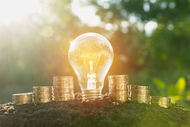 istock Energy saving light bulb and tree growing on stacks of coins on nature background. 875689904