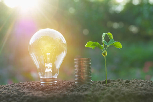 istock Energy saving light bulb and tree growing on stacks of coins on nature background. 875690024