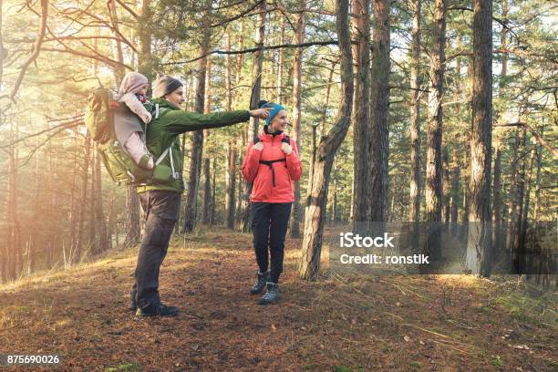 Young Family On Forest Hike On Sunny Autumn Day Stock Photo - Download Image Now - Hiking, Young Family, Baby - Human Age