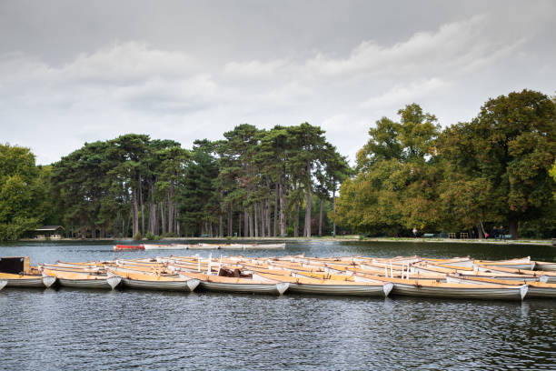 A flotilla of kayaks line up on the lake show Unused for the moment a collection of water craft wait for people to come and hire them and enjoy them on the lake. kendall stock pictures, royalty-free photos & images