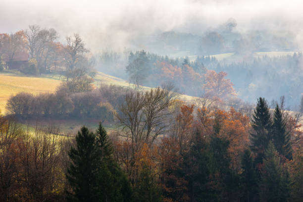 istock mountain in the morning mist 875700818