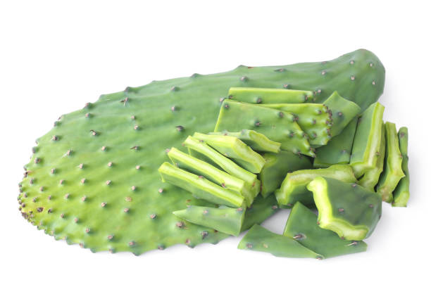 cojines verdes comestibles de cactus opuntia - fresh tuna fotografías e imágenes de stock