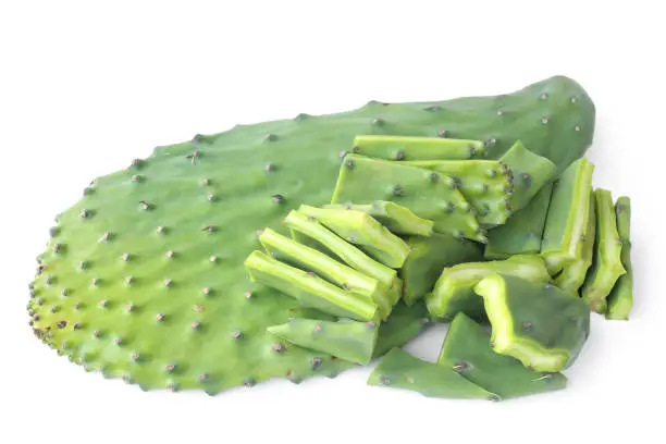 Edible green pads of Opuntia cactus on white background