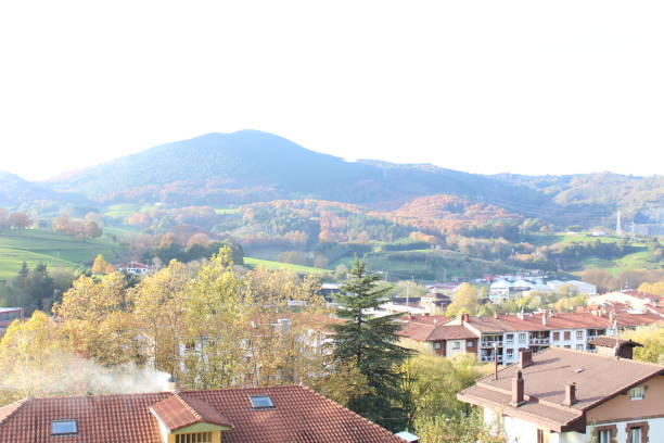 istock Beautiful view of valley 875704106