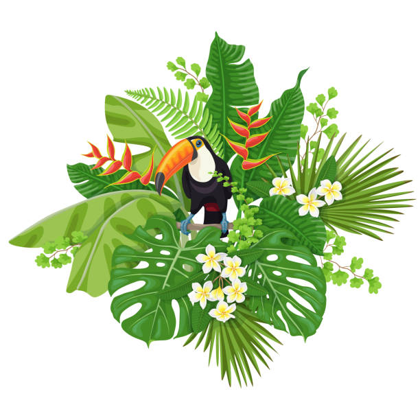 Toucan and Tropical Plants Colorful  floral bunch with green leaves and flowers of tropical plants  and  bird isolated on white.  Toucan sitting on liana branch. Vector flat illustration. amazonia stock illustrations