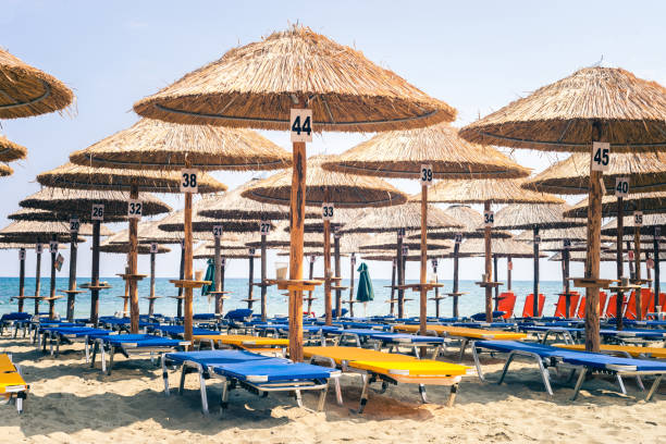 istock Empty Sunchair Deckchairs On Beach Under Parasols, Overlooking The Blue Sea In Paralia Katerini 875718054