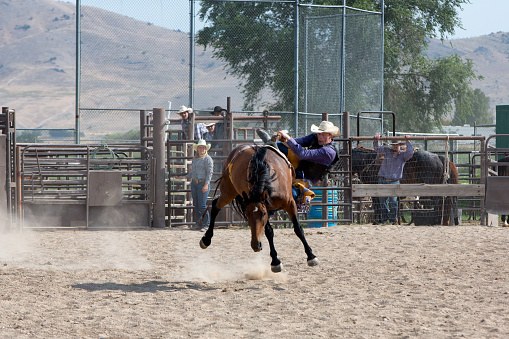 Young caucasian man riding a bucking bronco wild horse in a rodeo