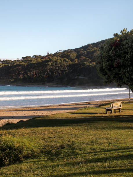 istock Wooden Bench at the Sea 875731514
