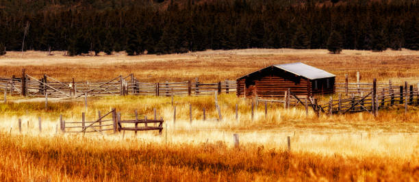 lever du soleil sur la grange de pays de l’idaho - burney photos et images de collection