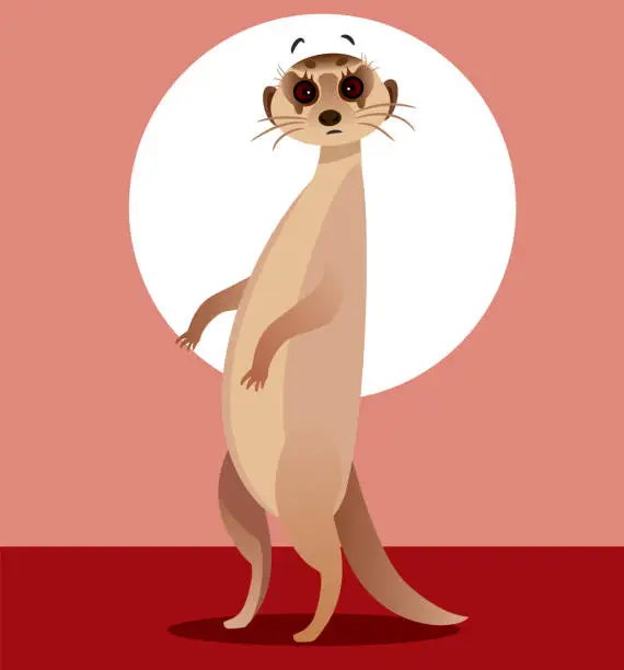 Vector illustration of Meerkat