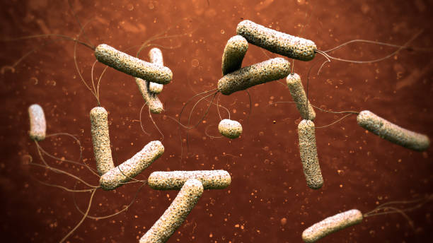 istock 3d illustration of cholera pathogens in dark orange water 875740396