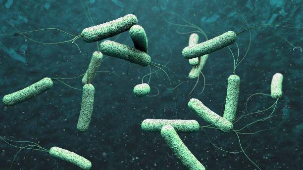 istock 3d illustration of cholera pathogens in dark green water 875740620