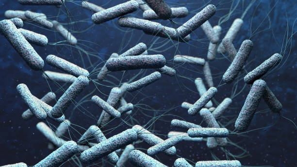 어두운 푸른 물에서 콜레라 균의 3d 그림 - cholera bacterium 뉴스 사진 이미지
