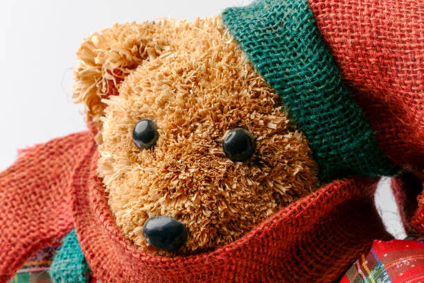 istock Teddy bear in winter clothes isolated on white background 875748748